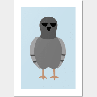 Cool Pigeon Posters and Art